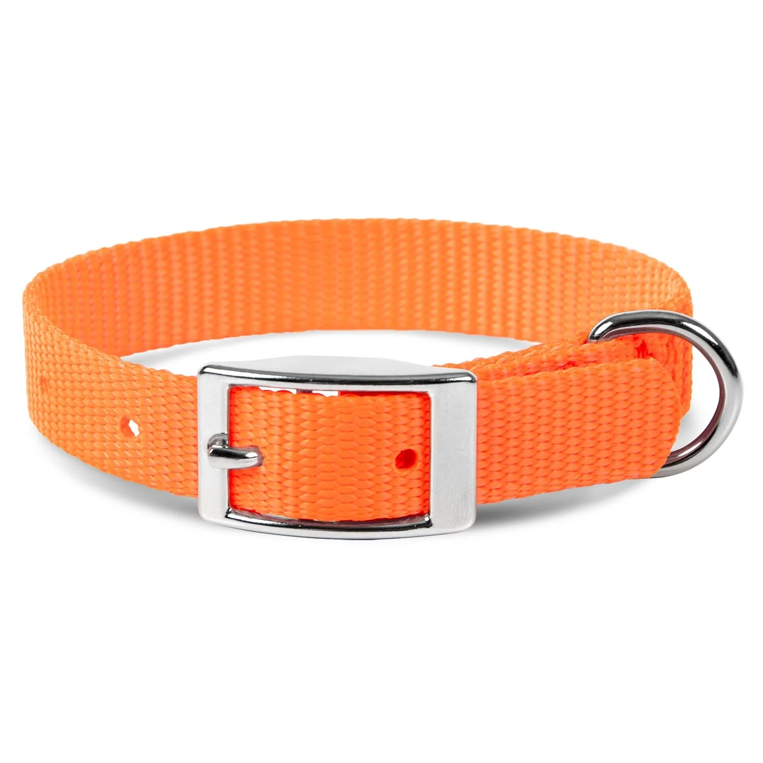 Jeffers Solid Web Nylon Dog Collar - Image 51