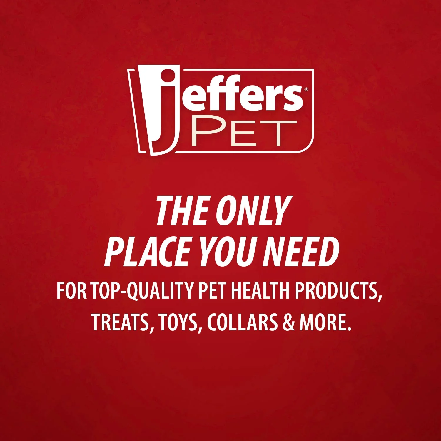 Jeffers Non-Slip Slicker Pet Grooming Brushes - Image 11