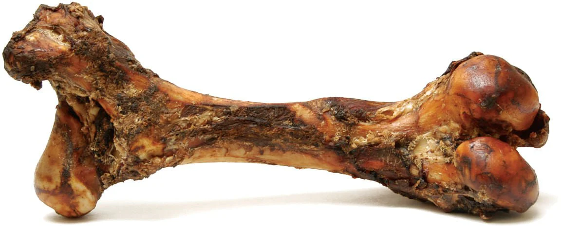 Jumbo Beef Bone for Medium to Large Dogs - Image 2