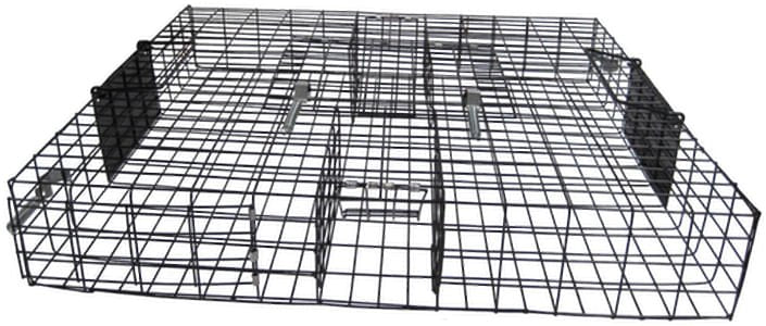 The Squirrelinator Squirrel Trap - Image 13