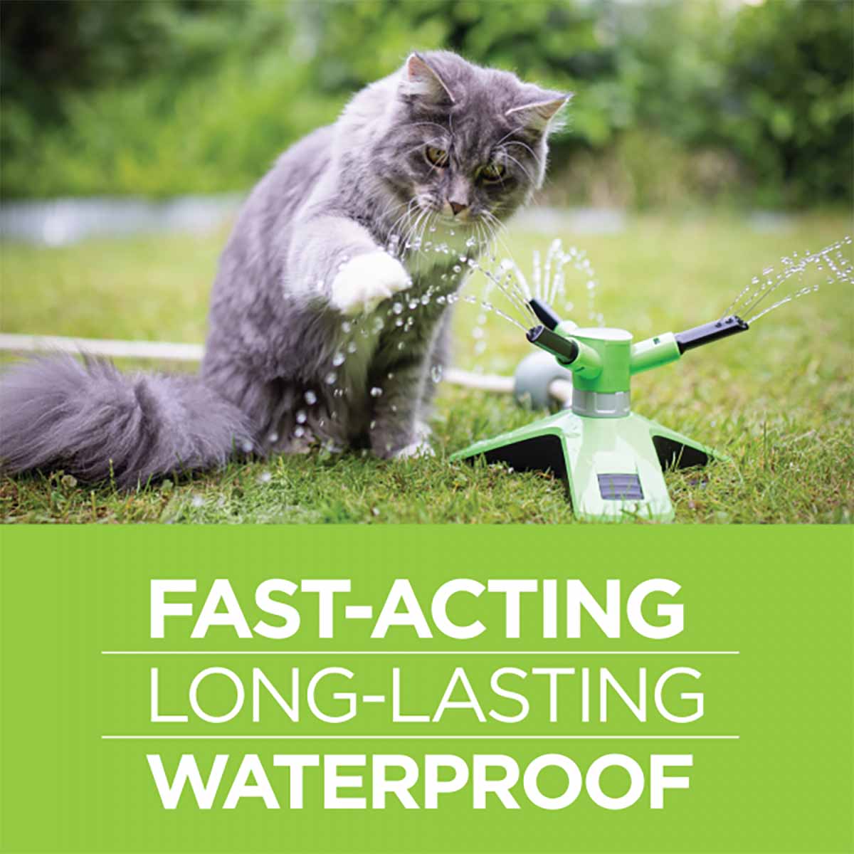 Vetality Firstect Plus for Cats, 3-pack - Image 7