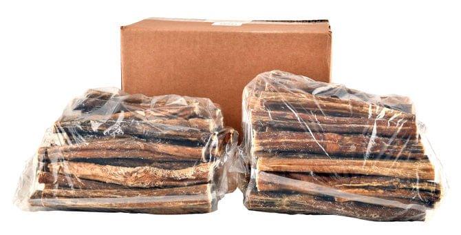 6" Bully Sticks for Dogs by QT Dog - Image 28