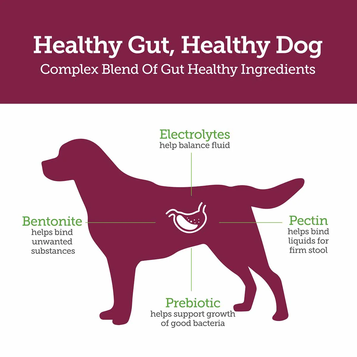 'Stop the Runs' Anti-Diarrhea Chewables for Dogs, 6-1 ct - Image 5