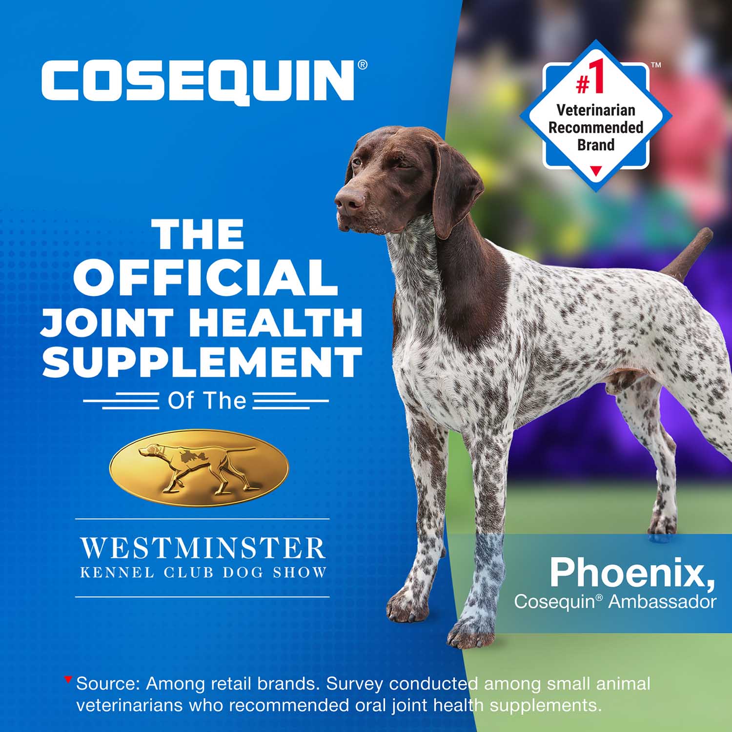Nutramax Cosequin Joint Health Supplement for Dogs - With Glucosamine, Chondroitin, MSM, and Omega-3's - Image 6