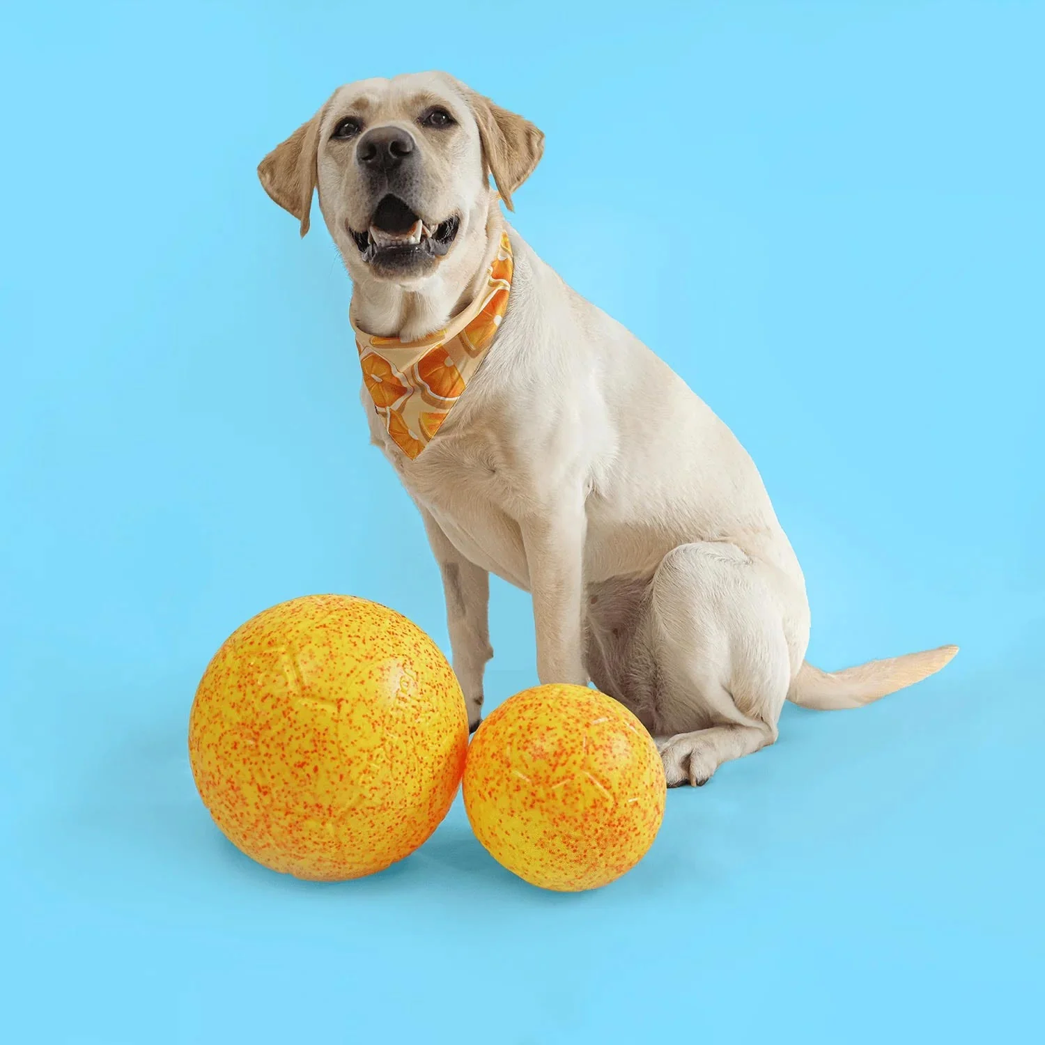 Jolly Soccer Ball for Dogs – Durable, Floating, Puncture-Resistant, Fetch Toy, Made in USA - Image 16