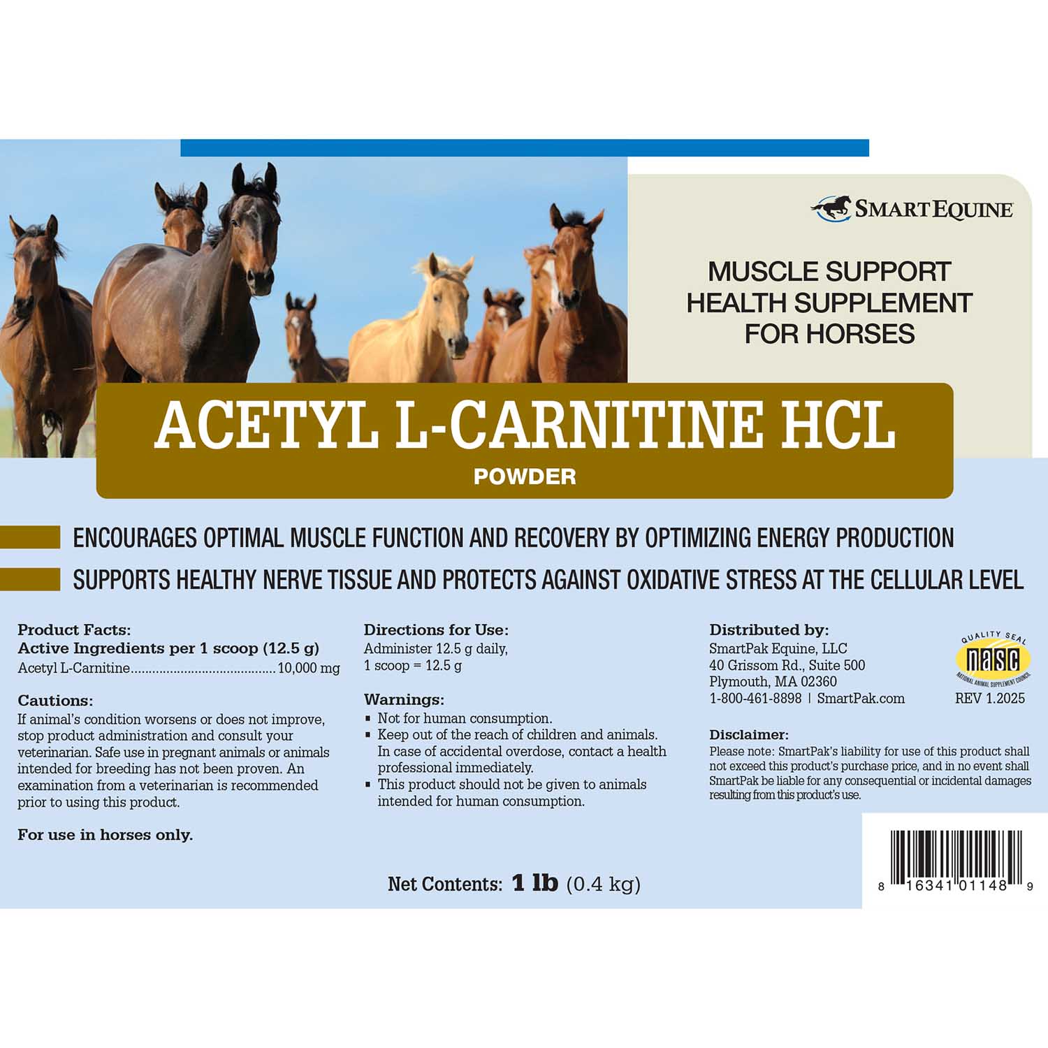Acetyl L-Carnitine HCL Muscle Support for Horses, Powder - Image 2