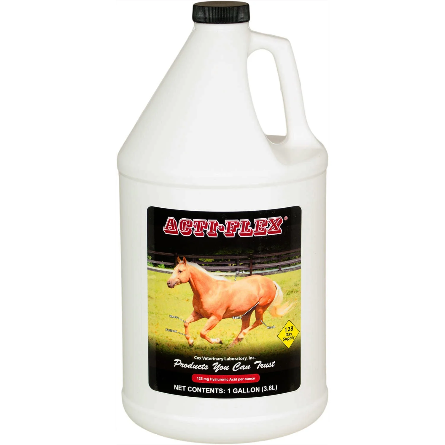 Acti-Flex Liquid Joint Supplement for Horses - Image 3