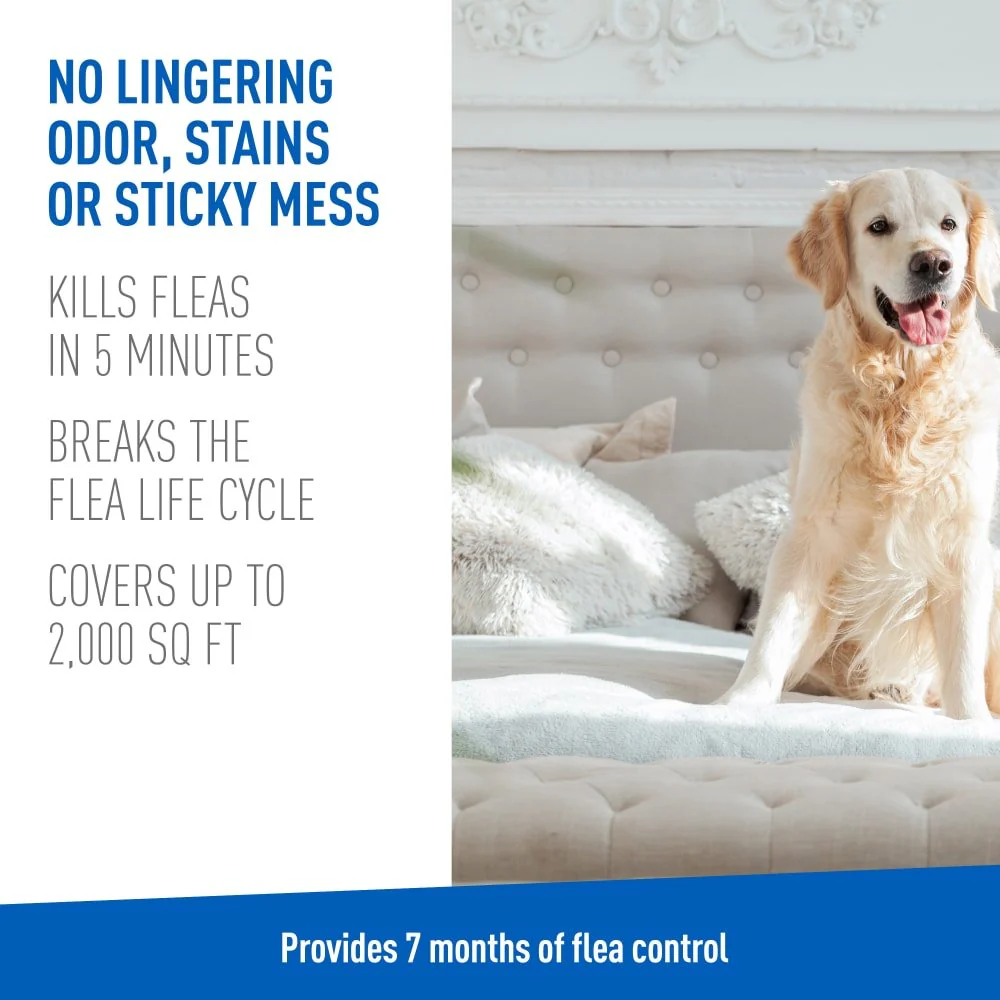 ADAMS Flea & Tick Carpet & Home Aerosol Spray, 7-Month Flea Protection, Treats Up to 2K Sq Ft, 16 oz - Image 7