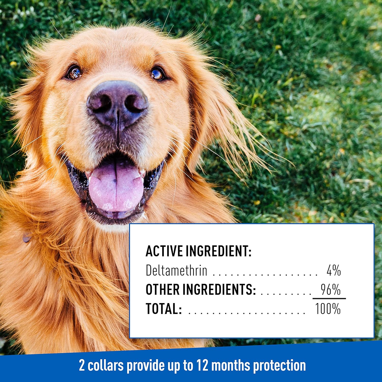 ADAMS Flea & Tick Collar for Dogs & Puppies, 2 Pack, 12 Months Protection, Adjustable One Size Collar Fits All Dogs 12 Weeks & Older - Image 9