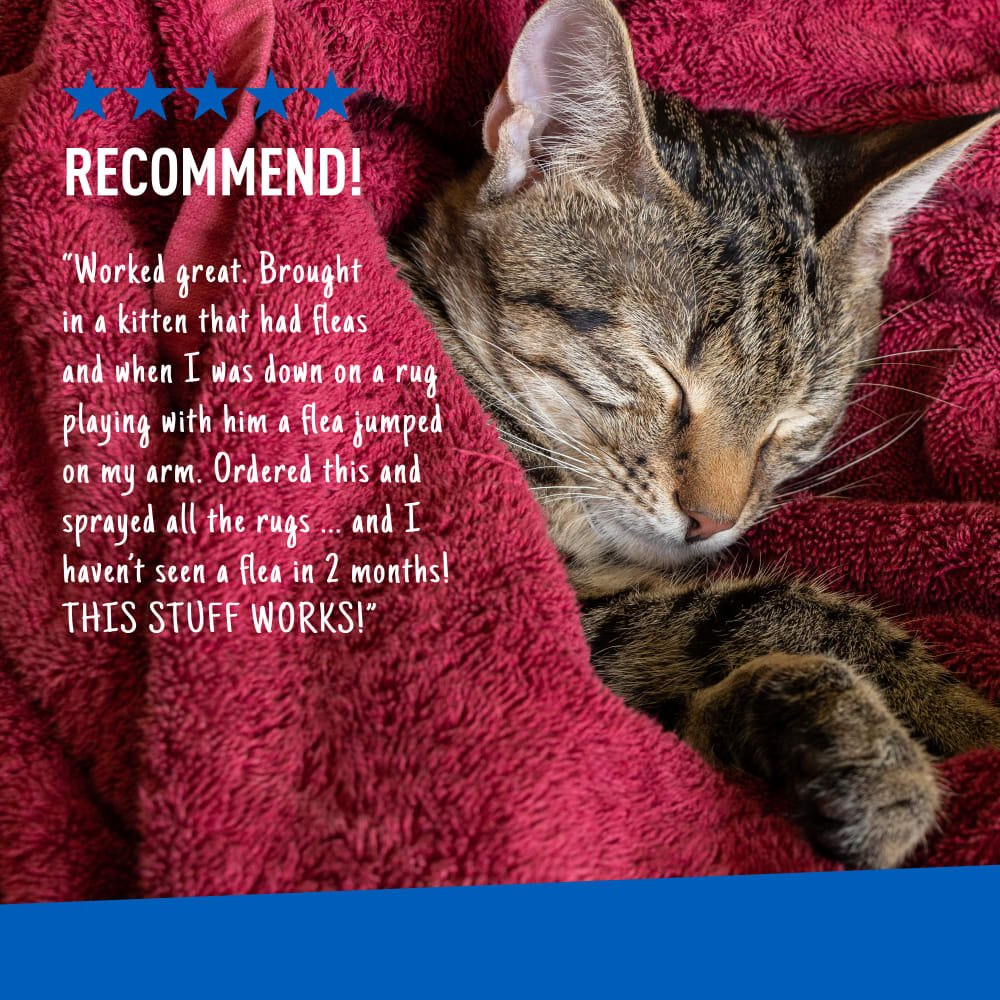 ADAMS Flea & Tick Home Spray - Image 8