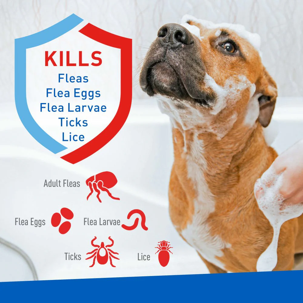 ADAMS Plus Flea & Tick Foaming Shampoo & Wash for Dogs & Puppies Over 12 Weeks, Sensitive Skin Flea Treatment, 10 oz - Image 2