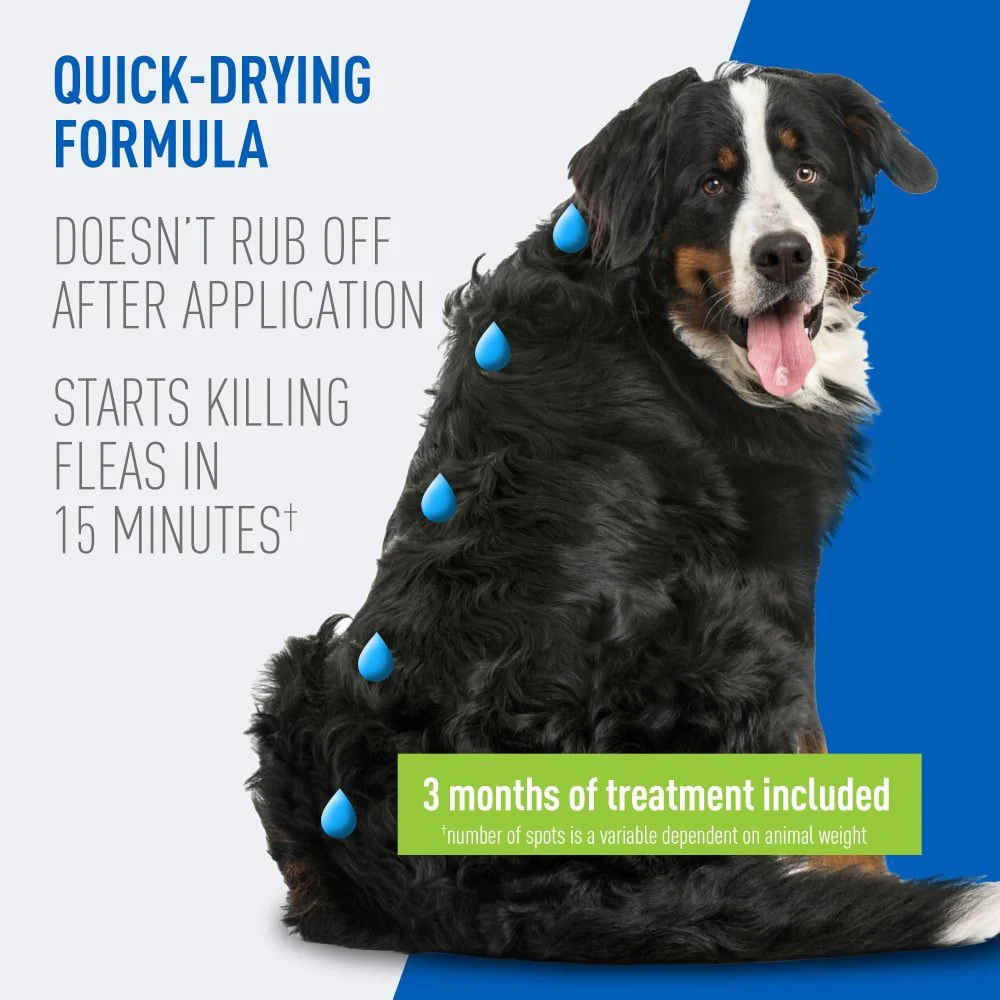 ADAMS Plus Flea & Tick Prevention Spot On for Dogs - Image 2