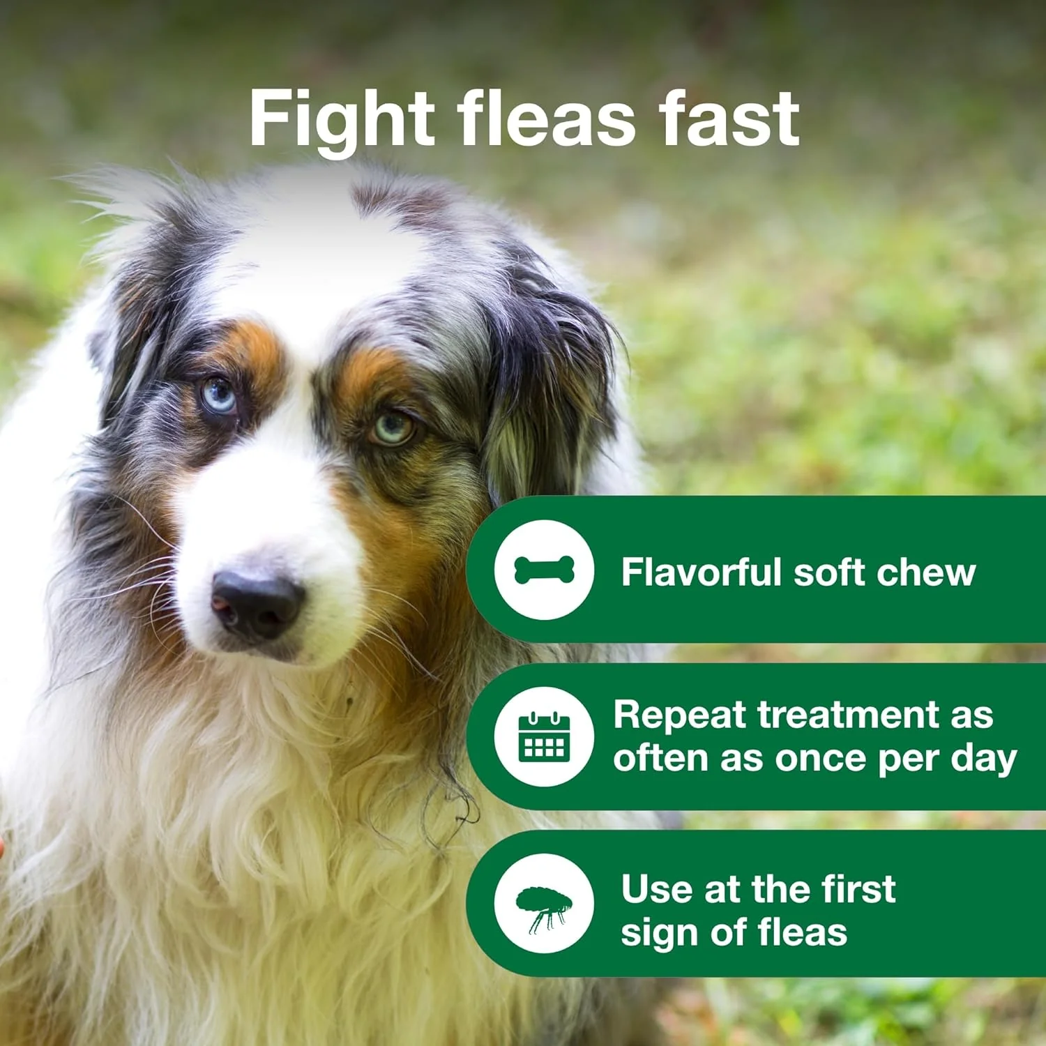 Advantus (imidacloprid) Oral Flea Treatment Soft Chews for Dogs - Image 5