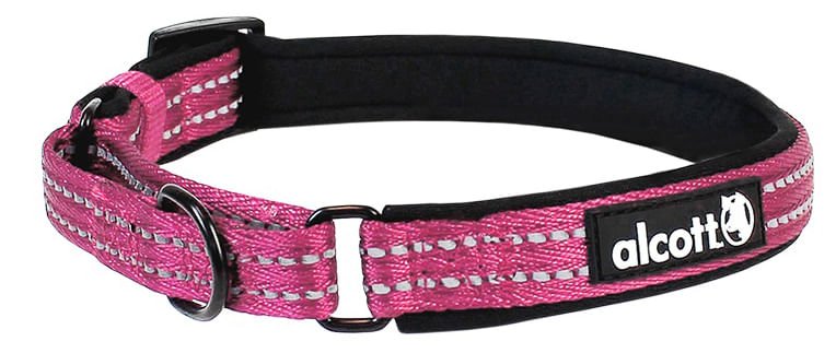 alcott Martingale Collar for Dogs - Image 13