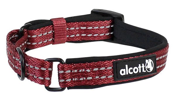 alcott Martingale Collar for Dogs - Image 3