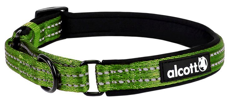 alcott Martingale Collar for Dogs - Image 4