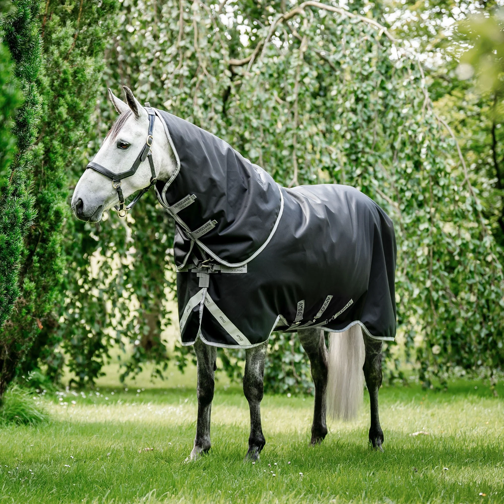 Amigo Bravo 12 Plus Horse Turnout Blanket 250g, Waterproof Medium Weight with Detachable Hood, 1200D Durable Outer