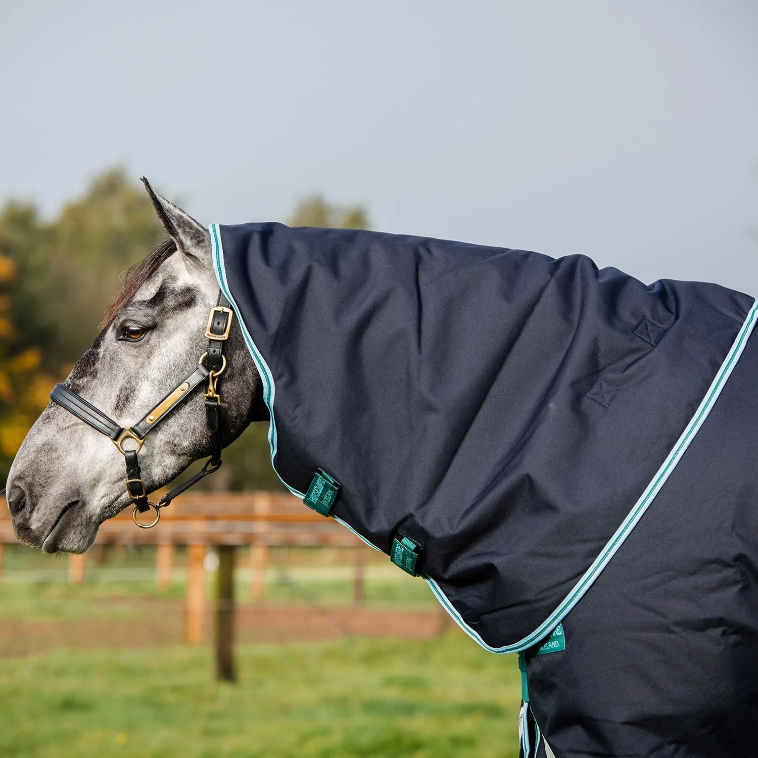 Amigo Bravo 12 Plus Horse Turnout Blanket 250g, Waterproof Medium Weight with Detachable Hood, 1200D Durable Outer - Image 10