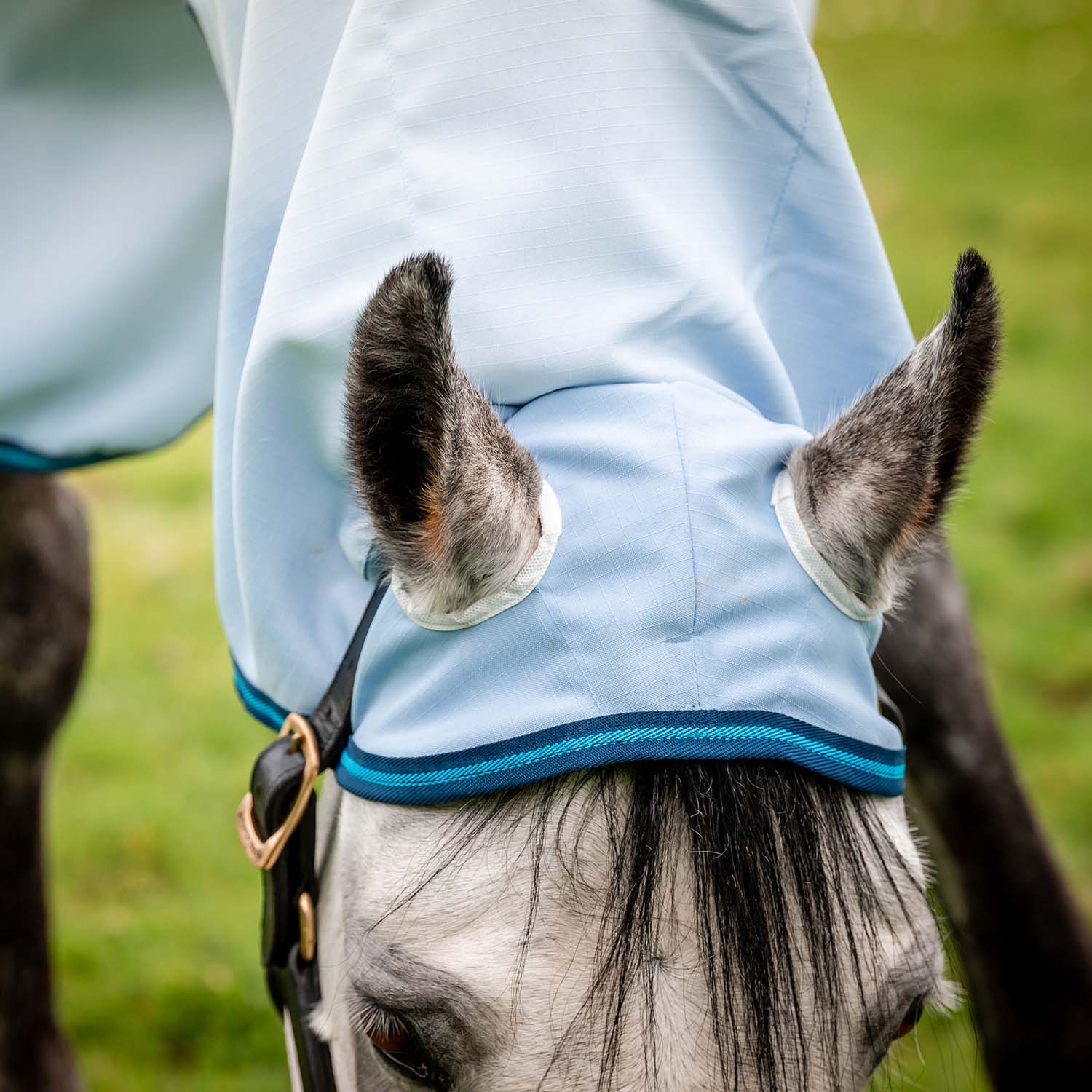 Amigo Ripstop Hoody Horse Fly Sheet - Lightweight, UV & Insect Protection with Integrated Neck Cover - Image 3