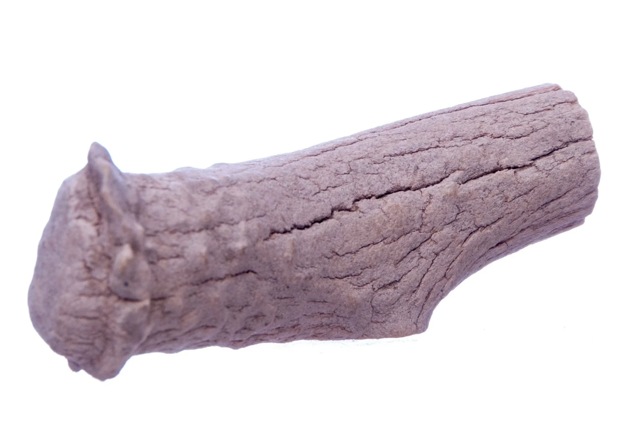 Antlerz Natural Dog Chew - Image 7