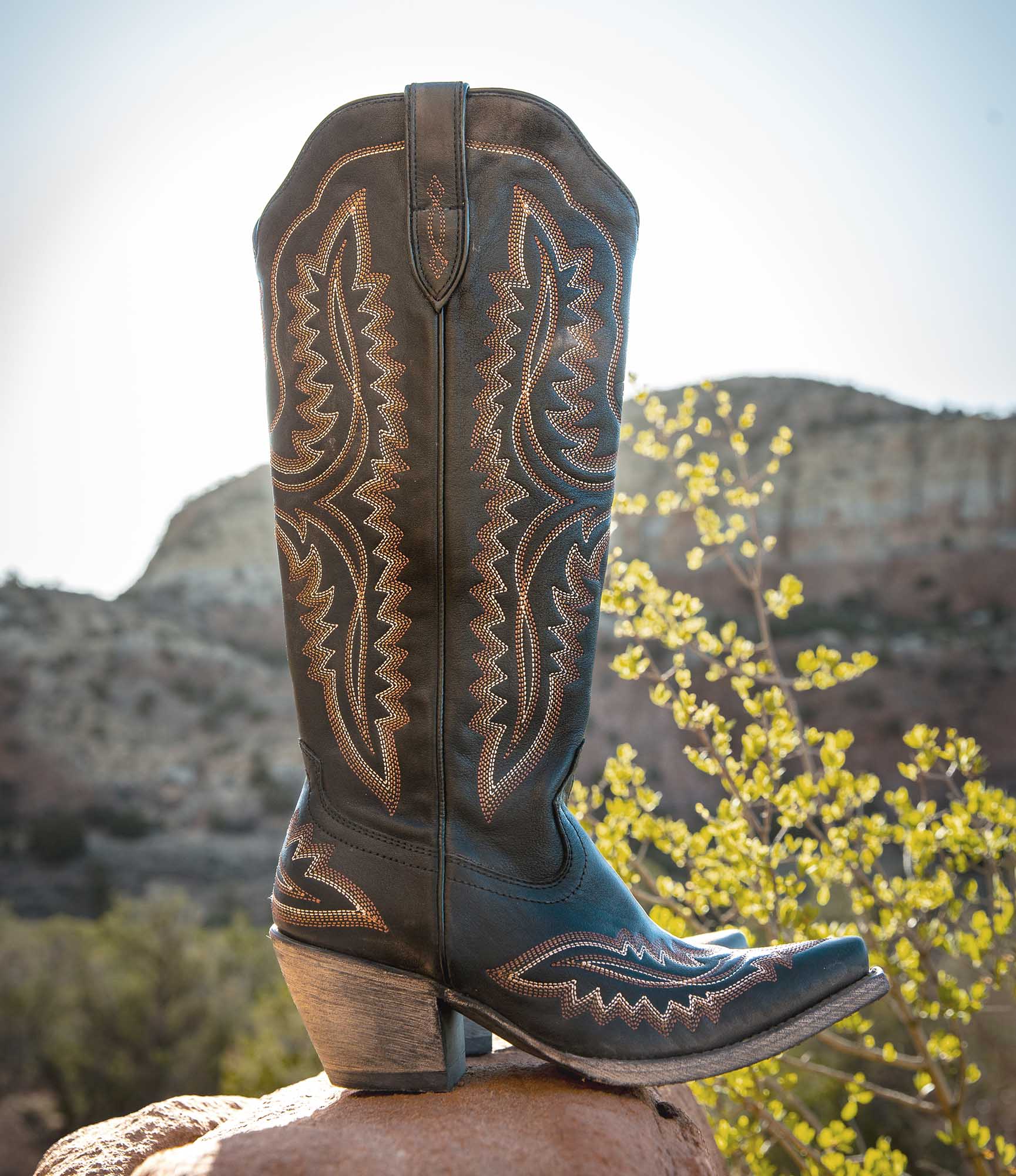 Ariat Women's Casanova Western Boot, Brooklyn Black - Image 24