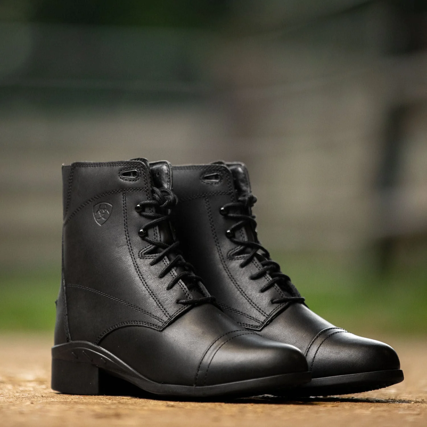 Ariat Women's Scout Paddock Boot, Black - Image 20