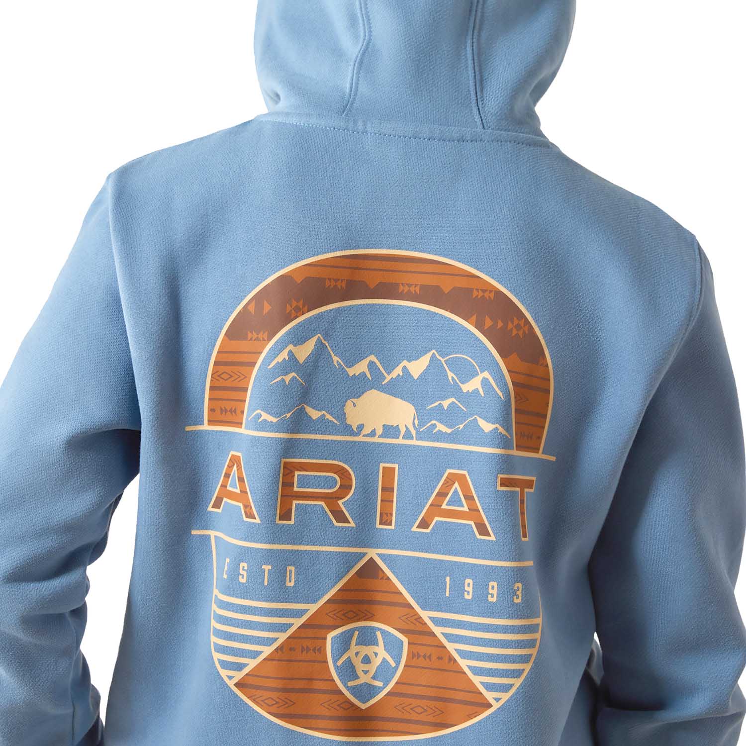 Ariat Youth Hoodie - Image 4