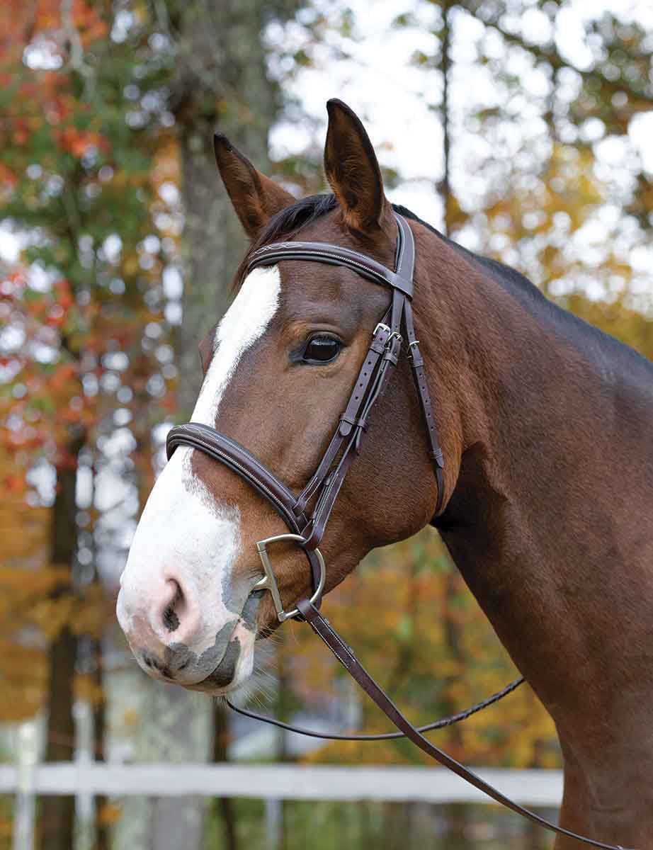 Shires Avignon Ocala Bridle, Havana - Image 3
