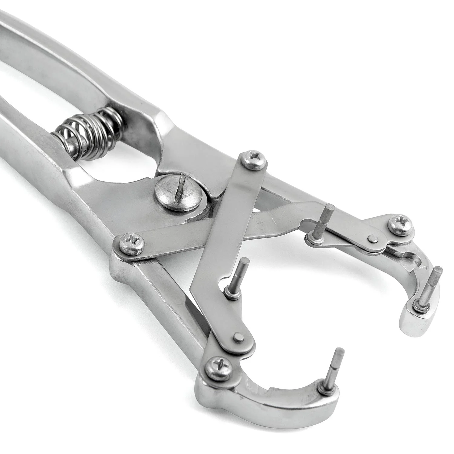 Jeffers Band Castration Tool for Livestock - Image 6
