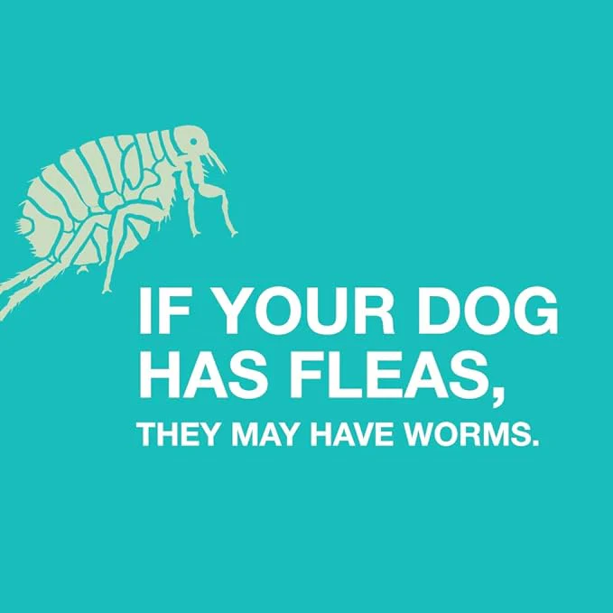 Quad Dewormer Chewable Tablets for Dogs - Image 3
