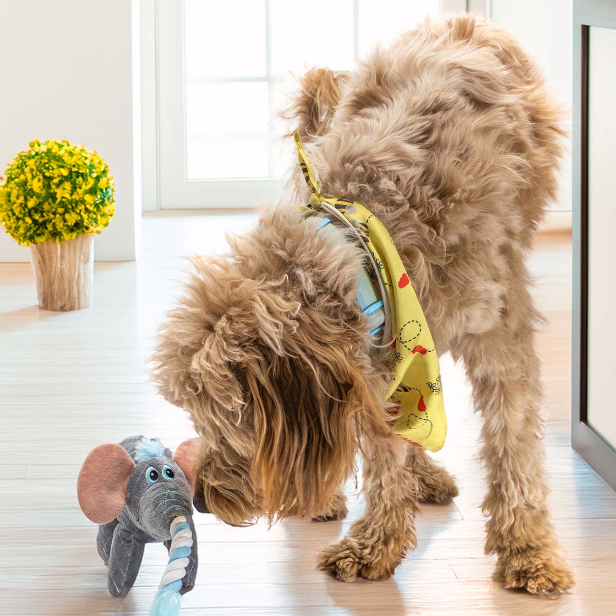 KONG Bendeez™ Plush Dog Toy with Flexible Rope Core & Squeaker - Image 8