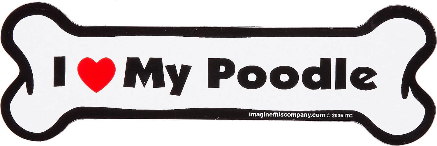 Bone Magnets, 7" x 2.25" - Image 4