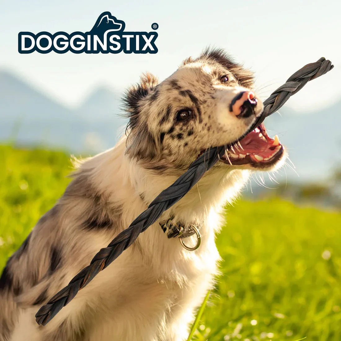 Dogginstix Braided Lamb Collagen Dog Chew – Long Lasting, Digestible, High Protein Rawhide Alternative - Image 14