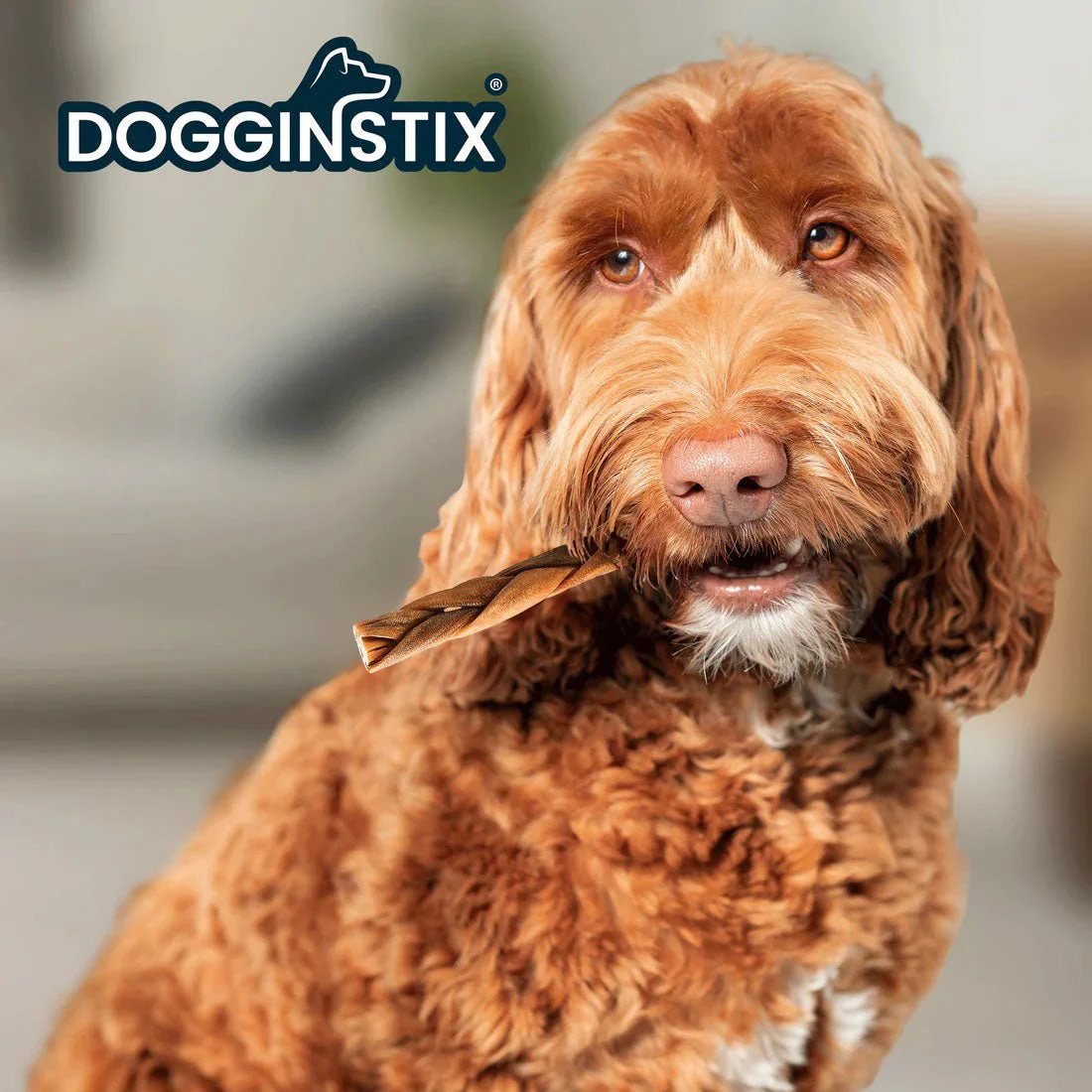 Dogginstix Braided Lamb Collagen Dog Chew – Long Lasting, Digestible, High Protein Rawhide Alternative - Image 4