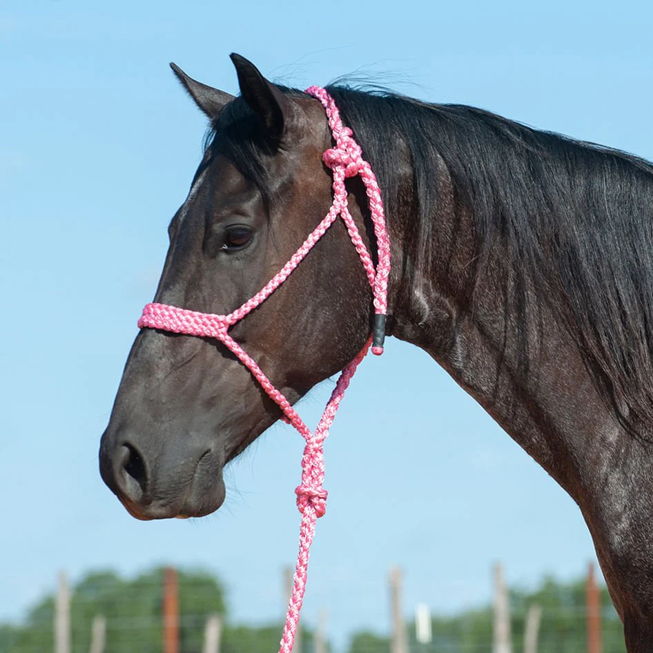 Braided Mule Tape Halter with 9' Lead - Image 8