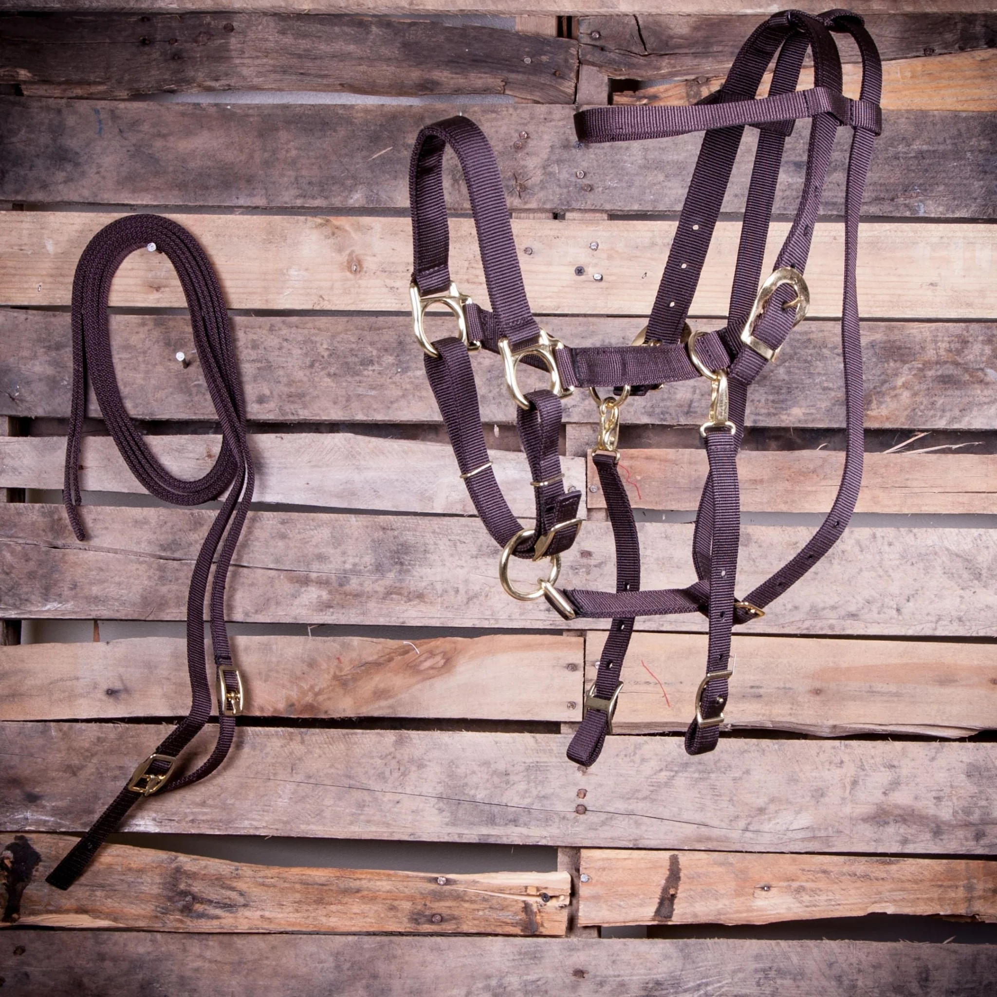 Jeffers Nylon Combination Horse Halter Bridle with Reins - Image 5