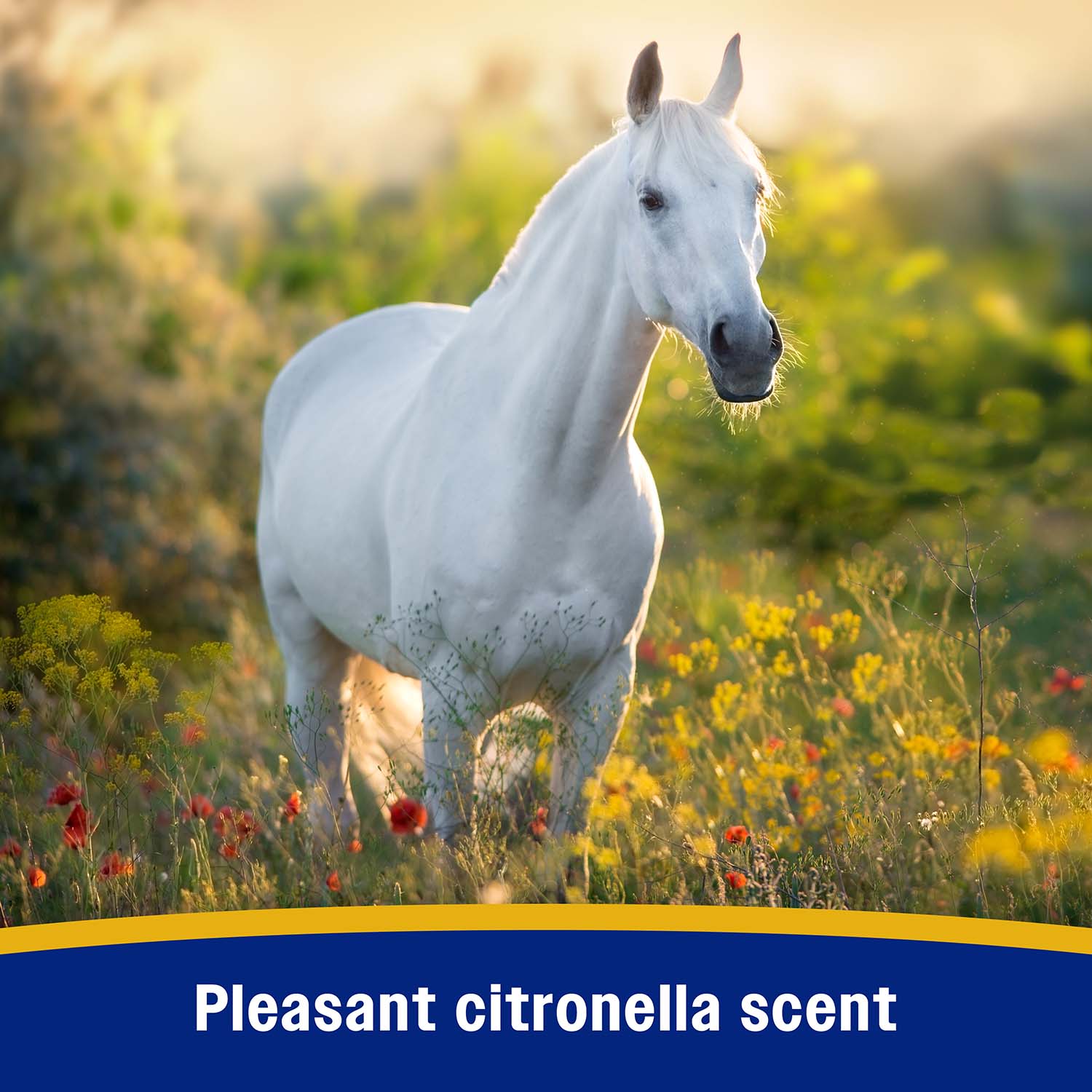 Bronco e Equine Fly Spray - Image 13