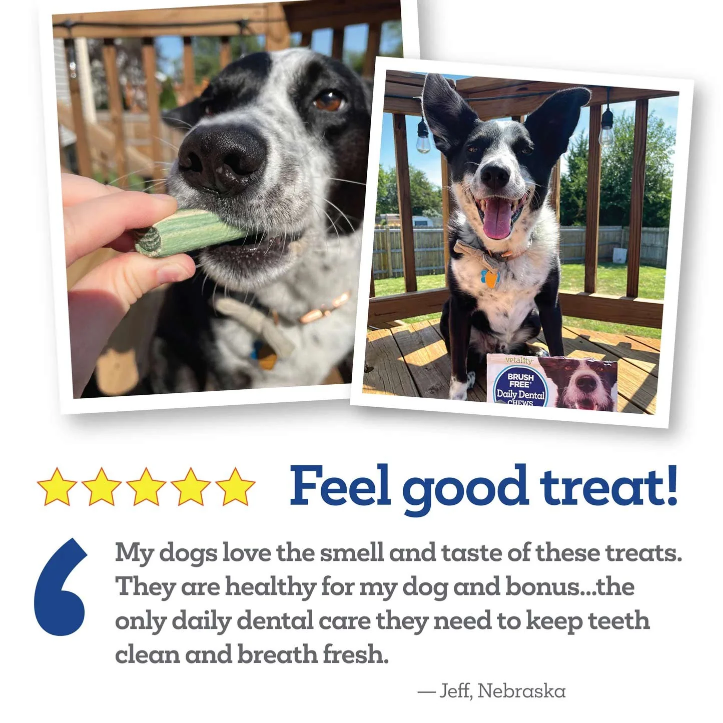 Vetality Brush Free Daily Dental Chews for Dogs, Plaque & Tartar Control, Fresh Breath - Image 11