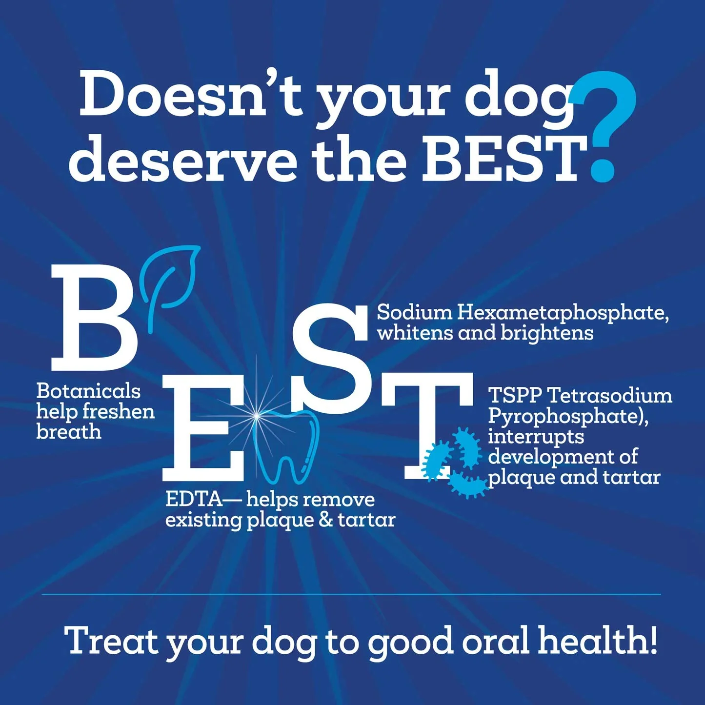 Vetality Brush Free Daily Dental Chews for Dogs, Plaque & Tartar Control, Fresh Breath - Image 5
