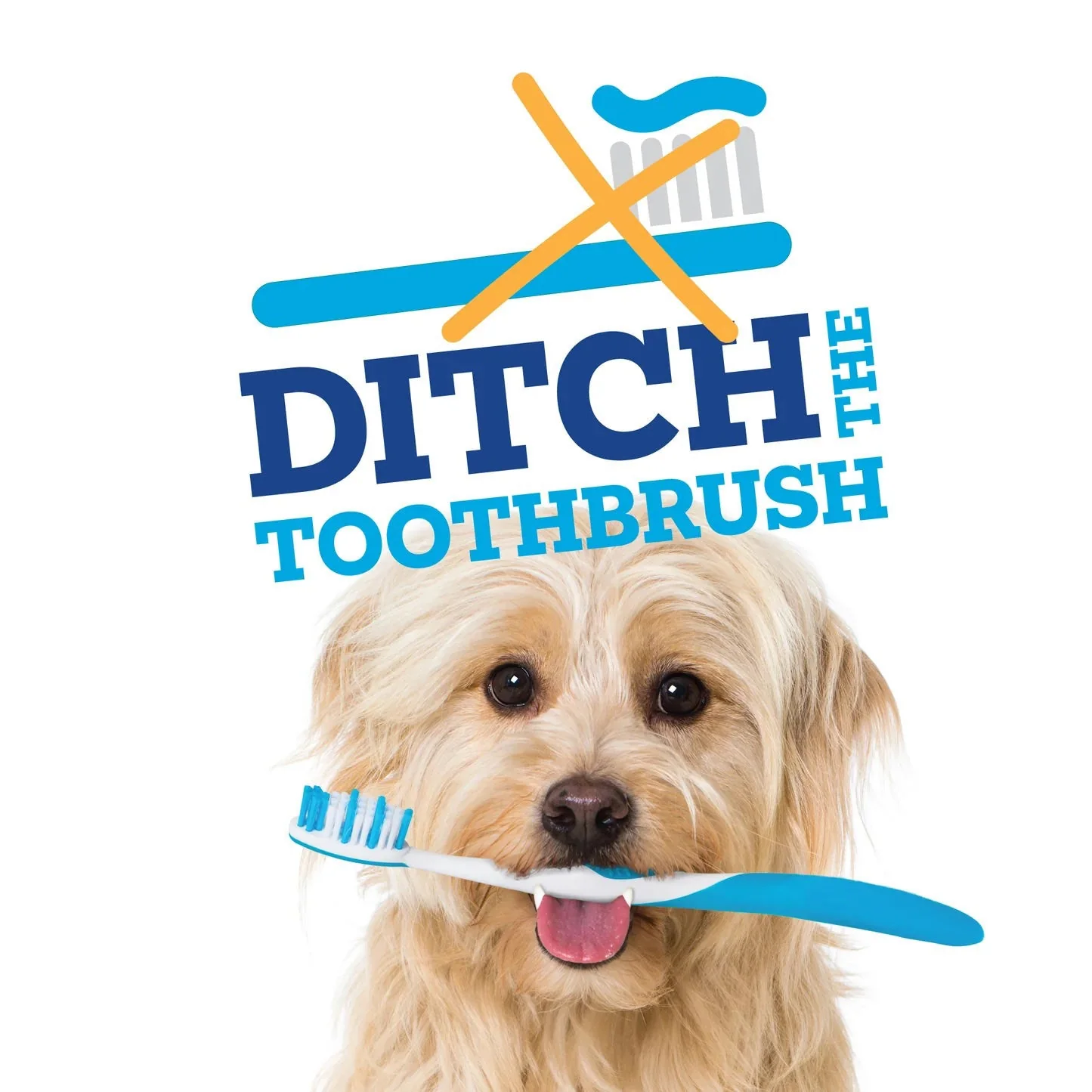 Vetality Brush Free Daily Dental Chews for Dogs, Plaque & Tartar Control, Fresh Breath - Image 6