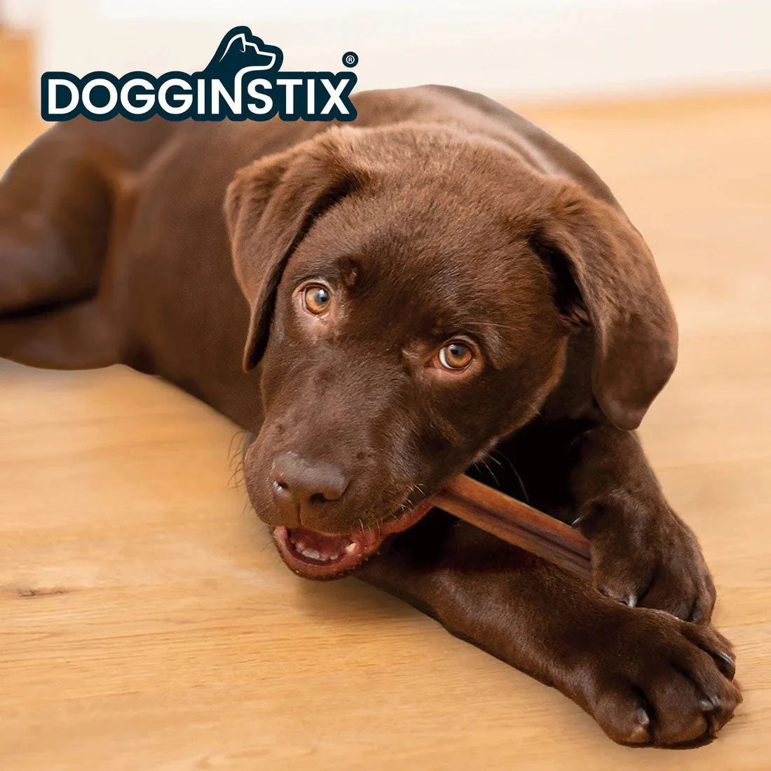 Dogginstix Bully Stick Dog Chew, All-Natural, Grass-Fed Beef, Odor-Free - Image 28