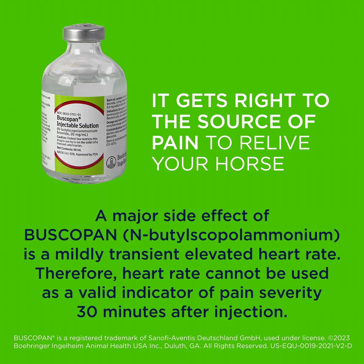 Rx Buscopan Injectable Solution for Horses, 50 mL - Image 4