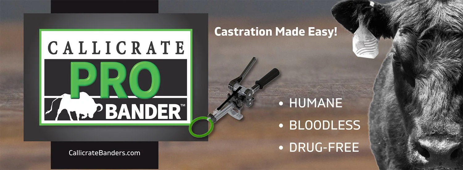 Callicrate Pro Bander with Built-in Band Cutter - Image 2