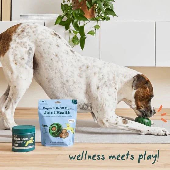 Pupsicle Everyday Wellness Pops Refills – Long Lasting Dog Treats for Joint, Calm, Allergy & Whole Body Health - Image 13