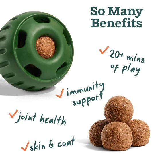 Pupsicle Everyday Wellness Pops Refills – Long Lasting Dog Treats for Joint, Calm, Allergy & Whole Body Health - Image 3