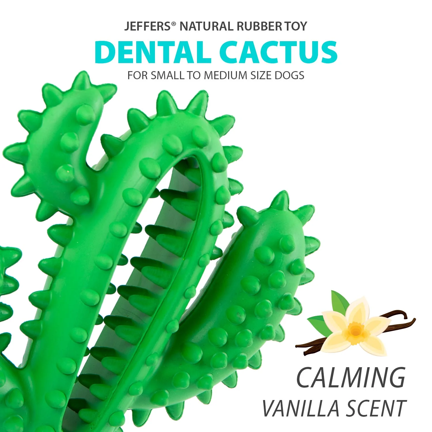 Jeffers Cactus Natural Rubber Dental Chew Toy for Dogs for Healthy Chewing Habits - Image 2