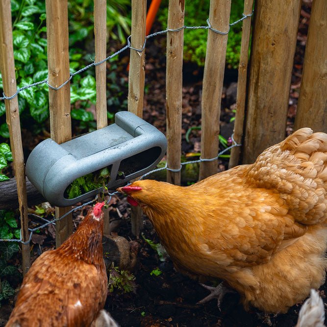 Chicken Feeder with Velcro Attachments – 100% Recycled, Eco-Friendly - Image 4
