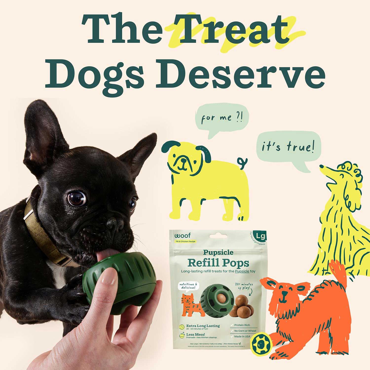 Pupsicle Pops Dog Treat Refills – Natural, Long-Lasting, Made in USA - Image 8