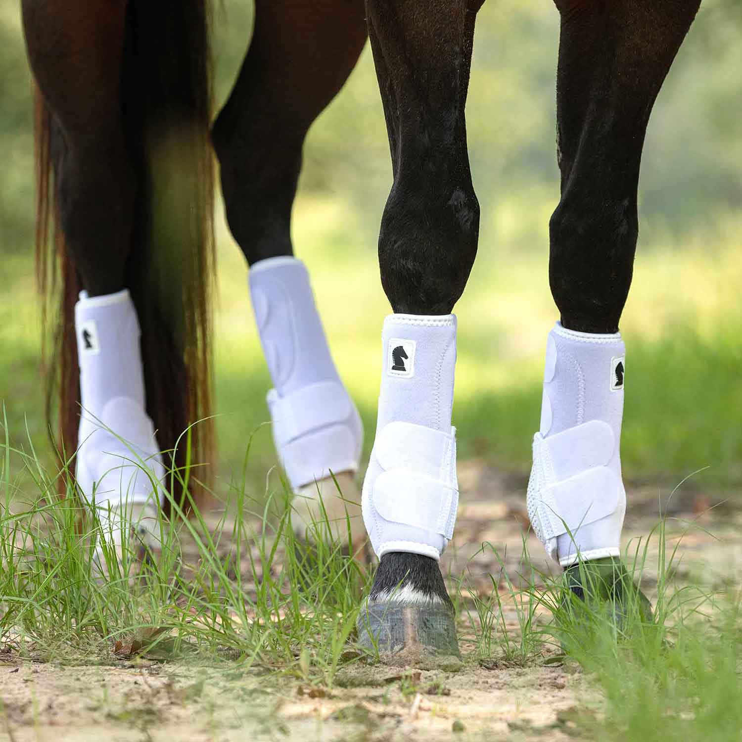 Classic Equine Legacy 2 Neoprene Front Protective Boots for Horses, Pair - Image 3