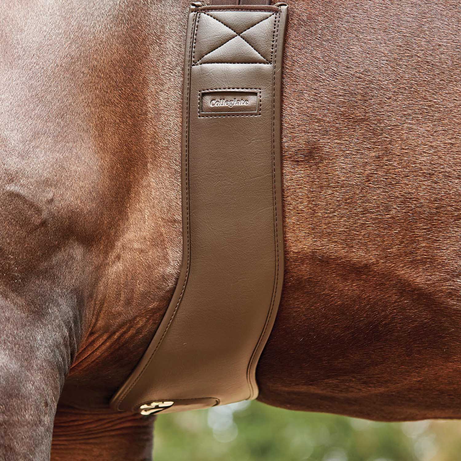 Collegiate Anatomic Girth, Brown - Image 22